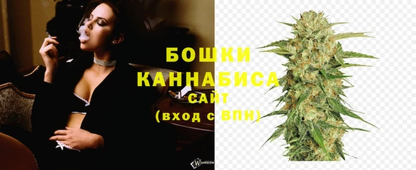 мдпв Бежецк