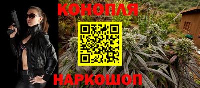 Альфа ПВП Заводоуковск