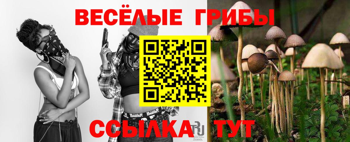 Галлюциногенные грибы MAGIC MUSHROOMS Ялта