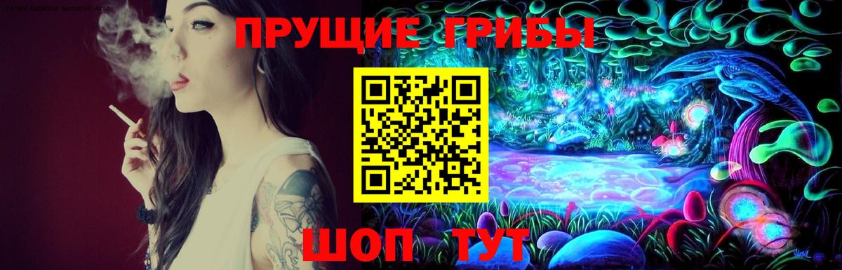 магазин продажи   Ялта  Псилоцибиновые грибы Magic Shrooms 