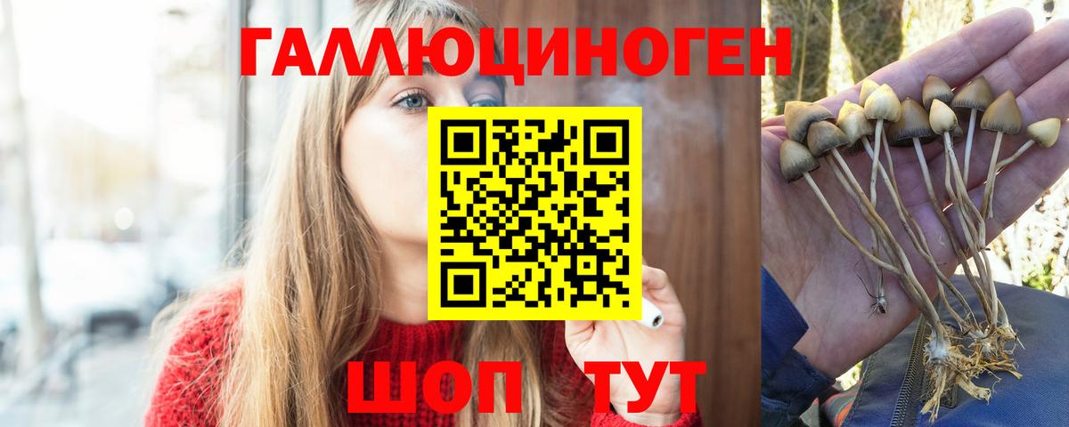 Ялта  Псилоцибиновые грибы GOLDEN TEACHER  Вход с VPN  Псилоцибиновые грибы мухоморы 