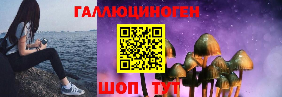 Псилоцибиновые грибы мухоморы Ялта