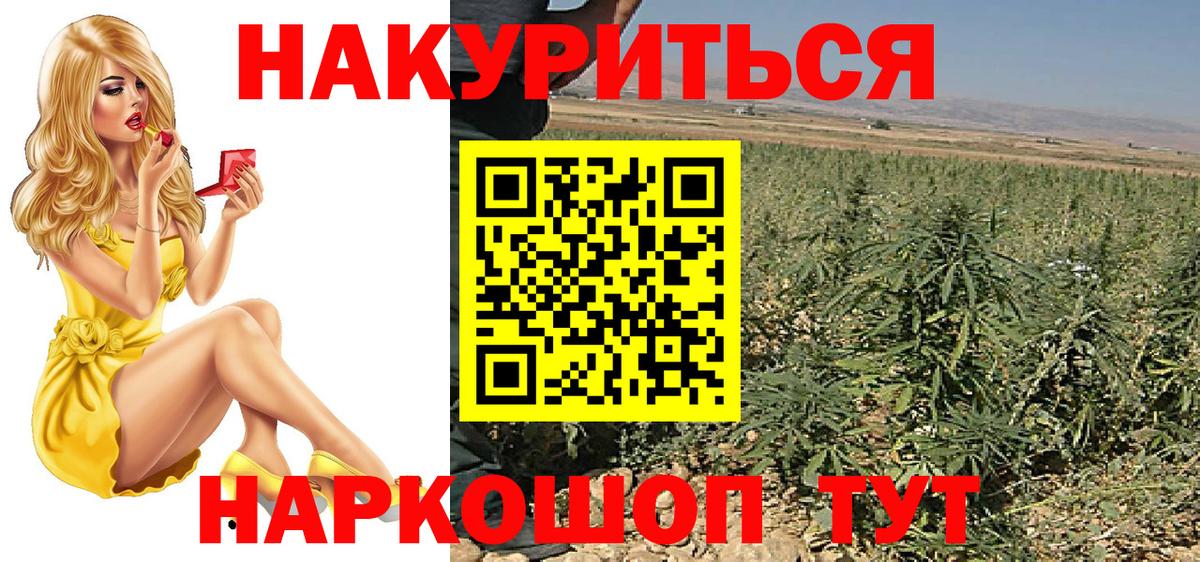 Конопля план  Бошки Шишки Bruce Banner  Ялта  Вход с VPN 